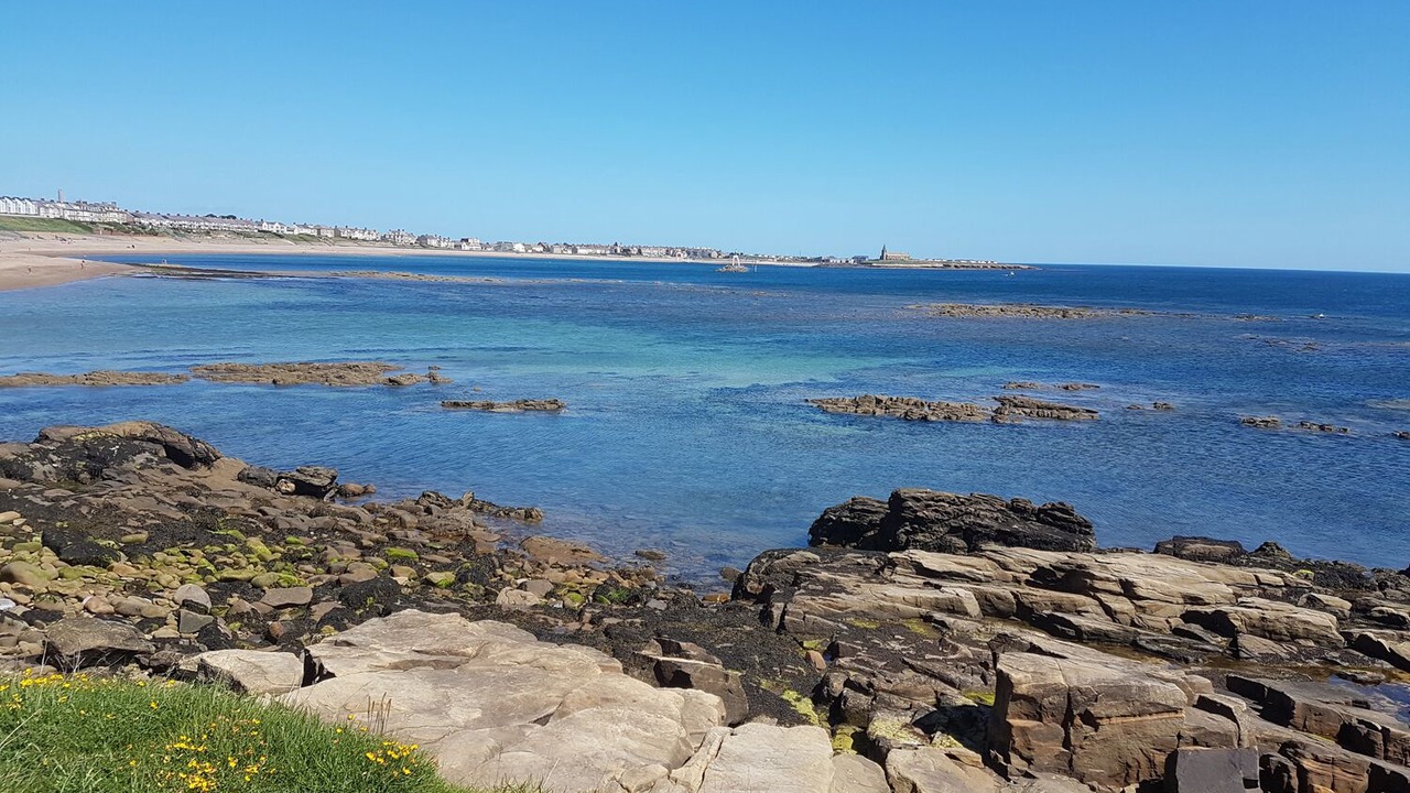 Photo of Others in Woodhorn