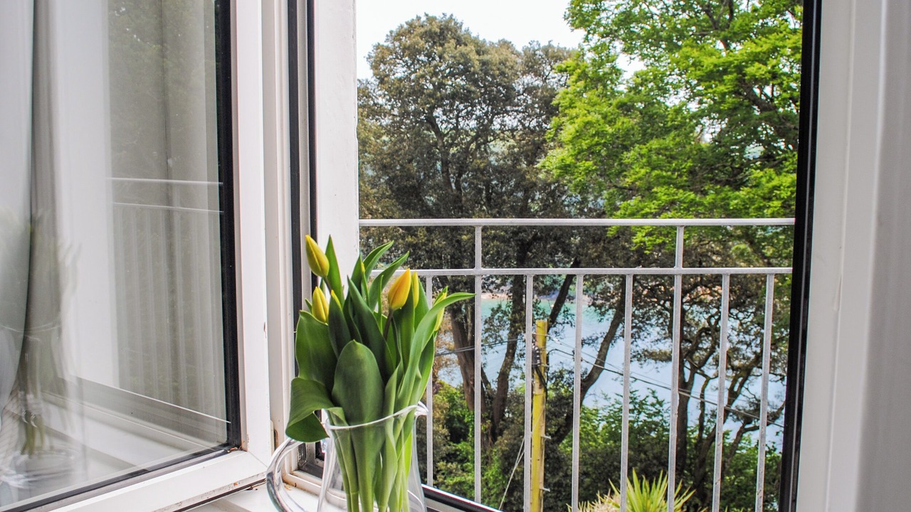 Photo of Others in Salcombe