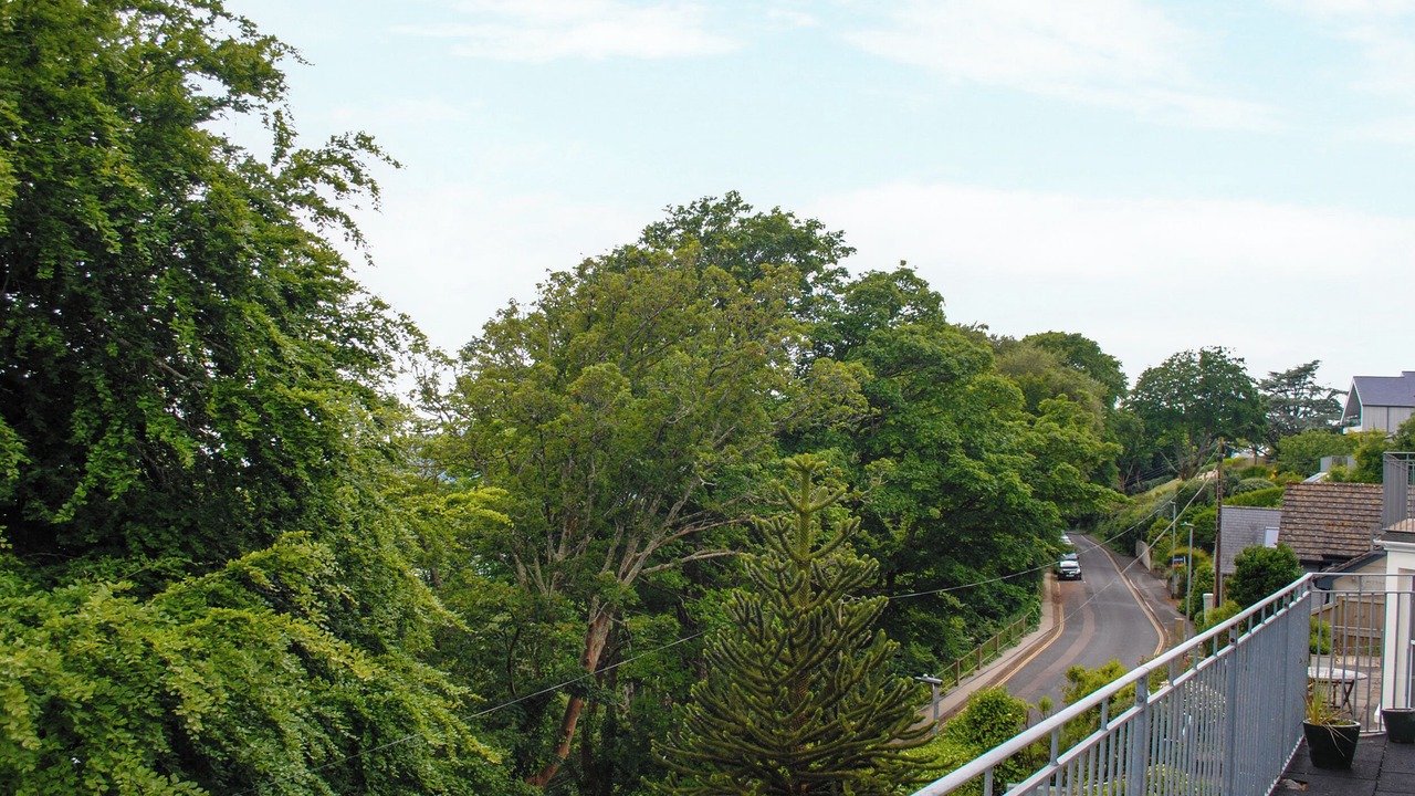 Photo of Others in Salcombe