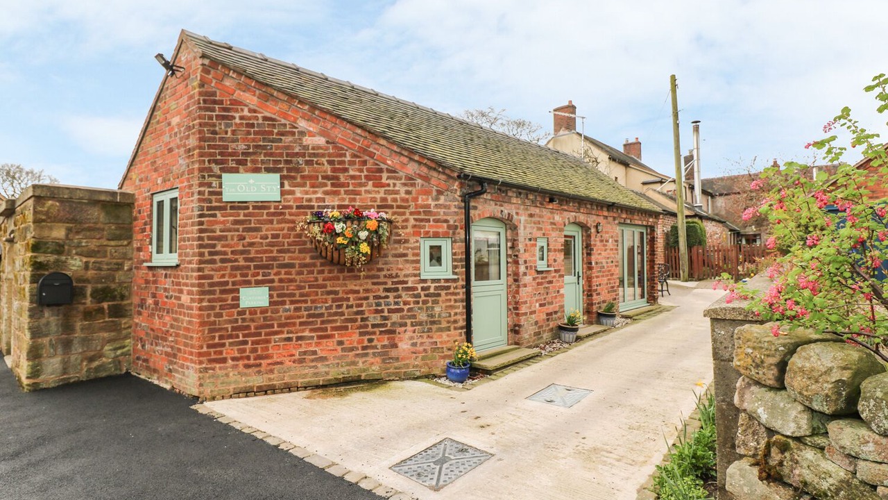 Photo of Outdoor in Cotton