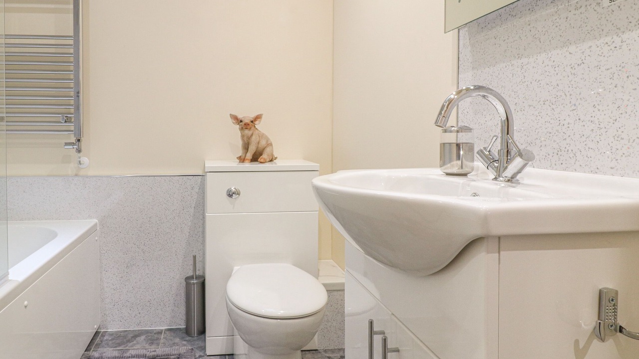 Photo of Others in Cotton