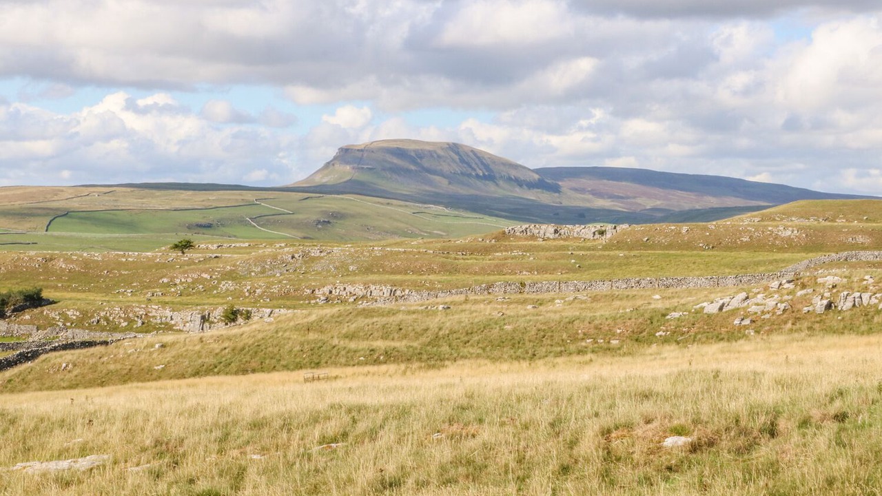 Photo of Others in Clapham