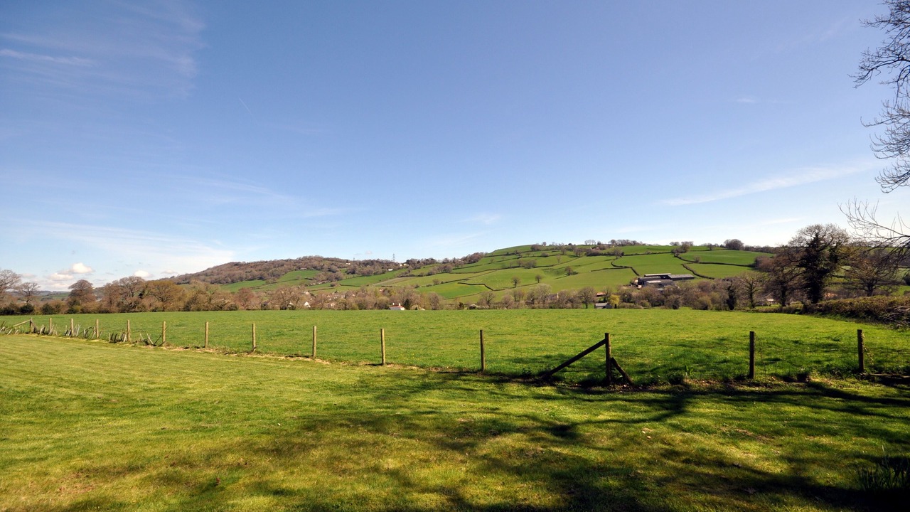 Photo of Others in Axminster