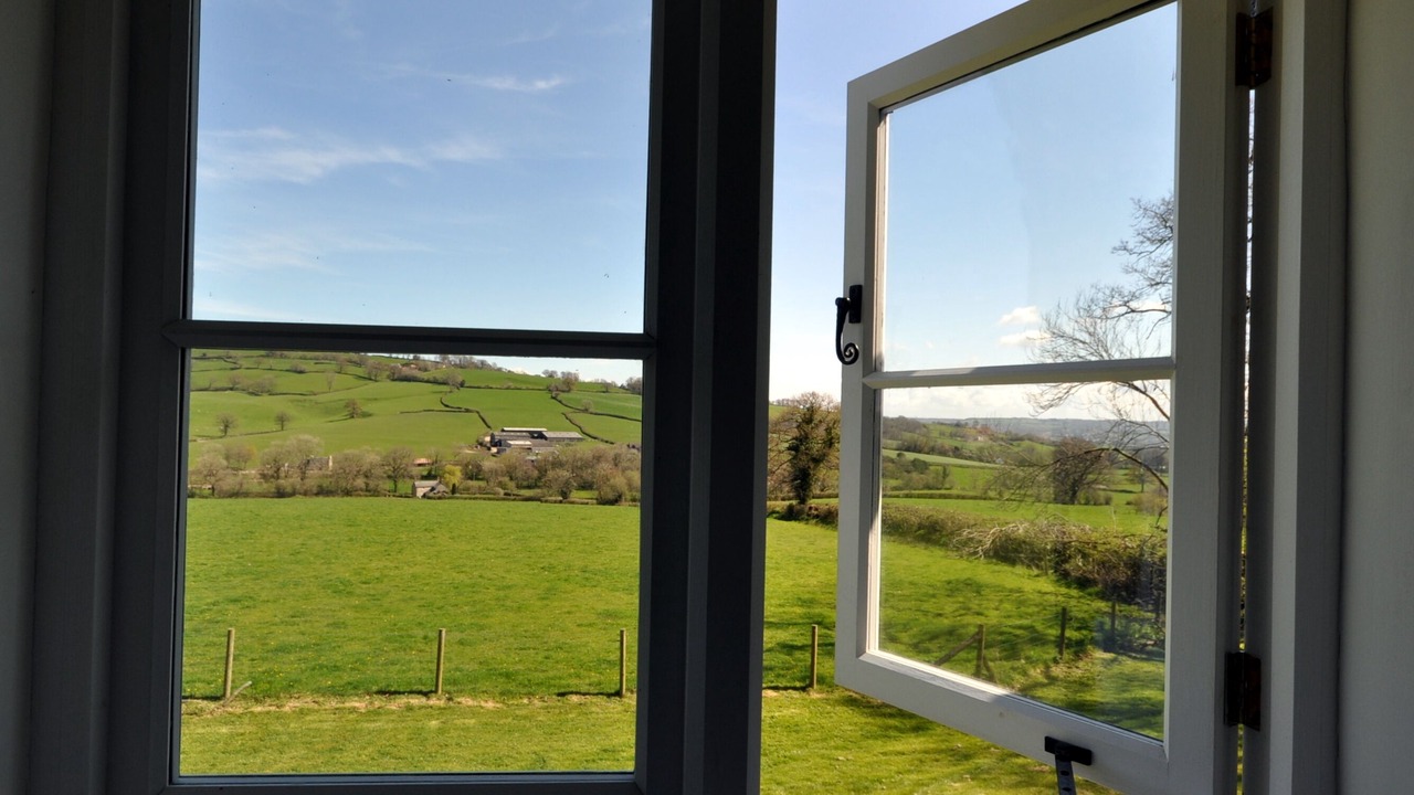 Photo of Others in Axminster