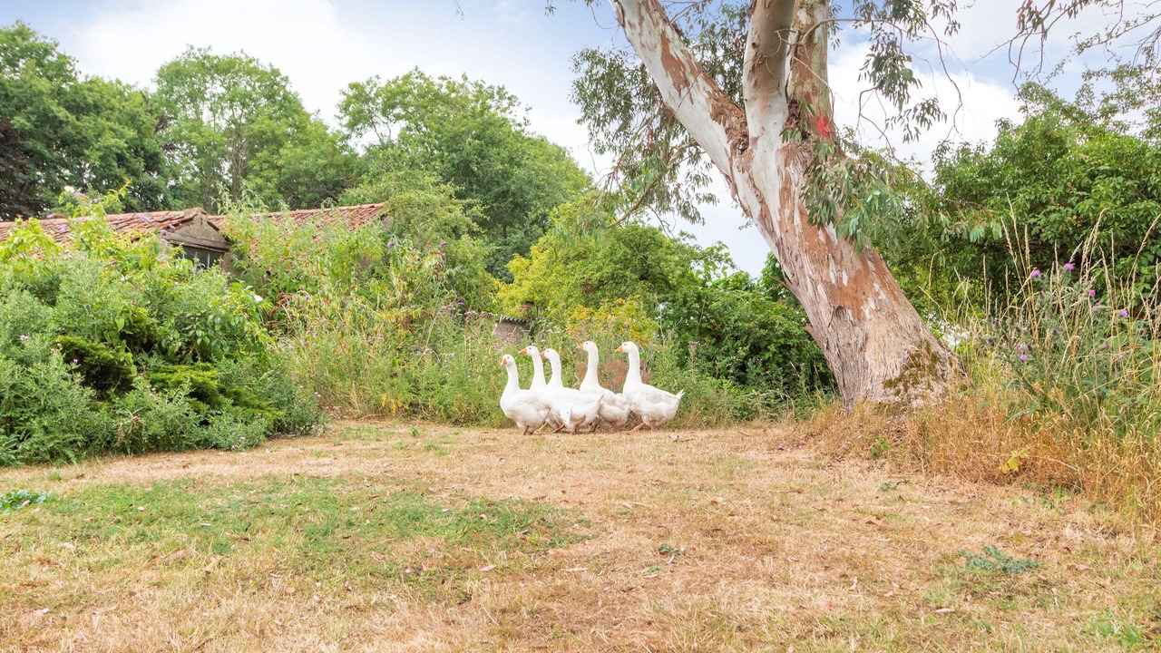 Photo of Others in Gissing