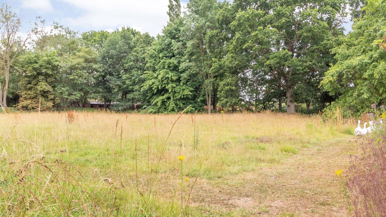 Photo of Others in Gissing