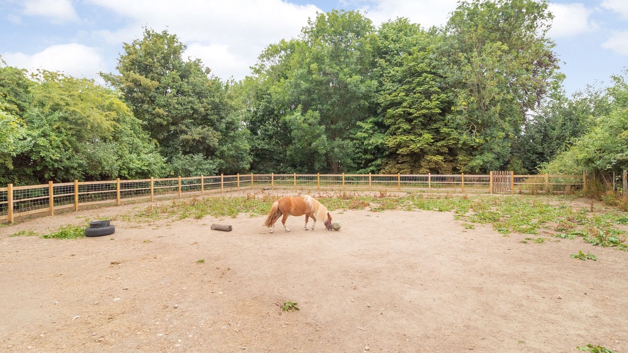 Photo of Others in Gissing