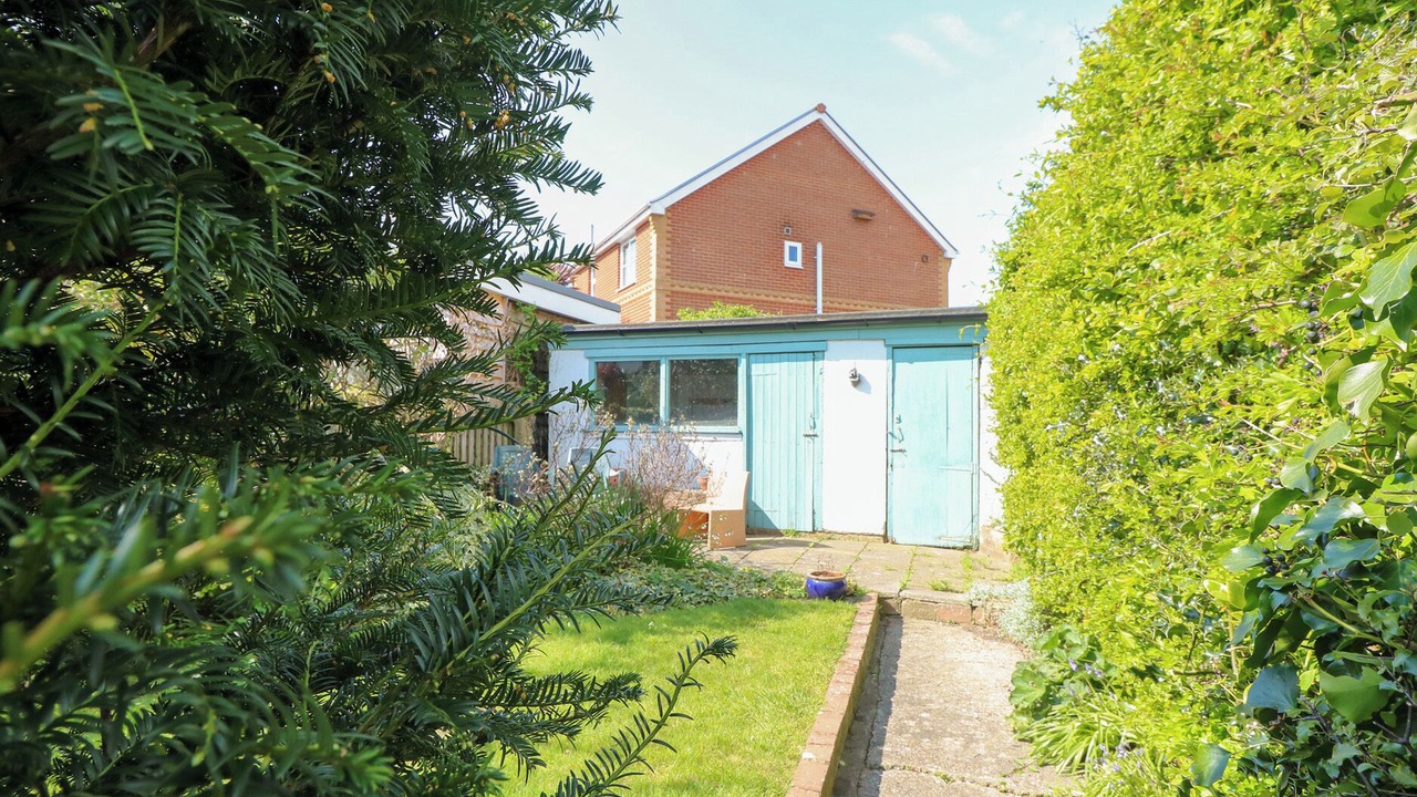 Photo of Others in Freshwater