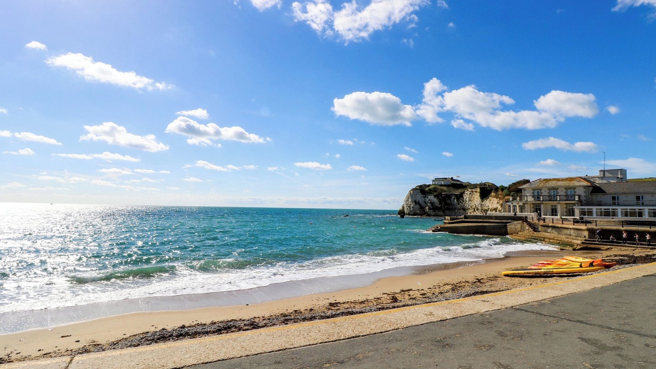 Photo of Others in Freshwater