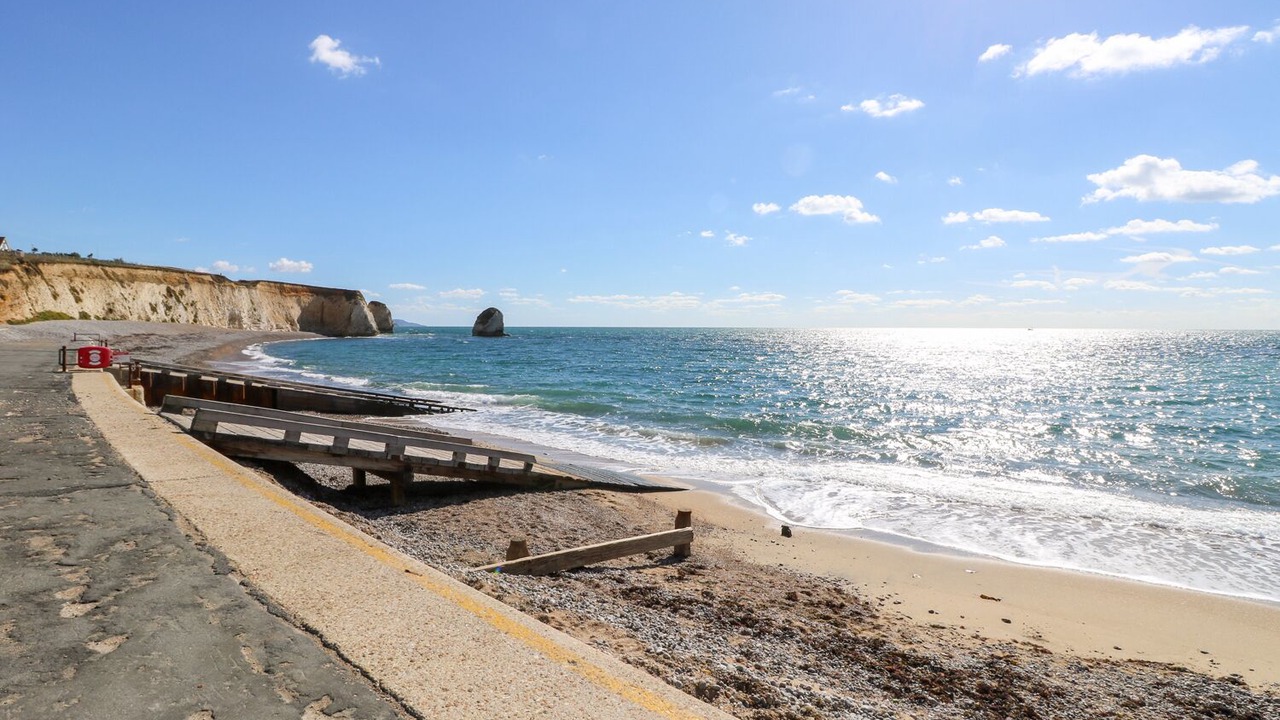 Photo of Others in Freshwater