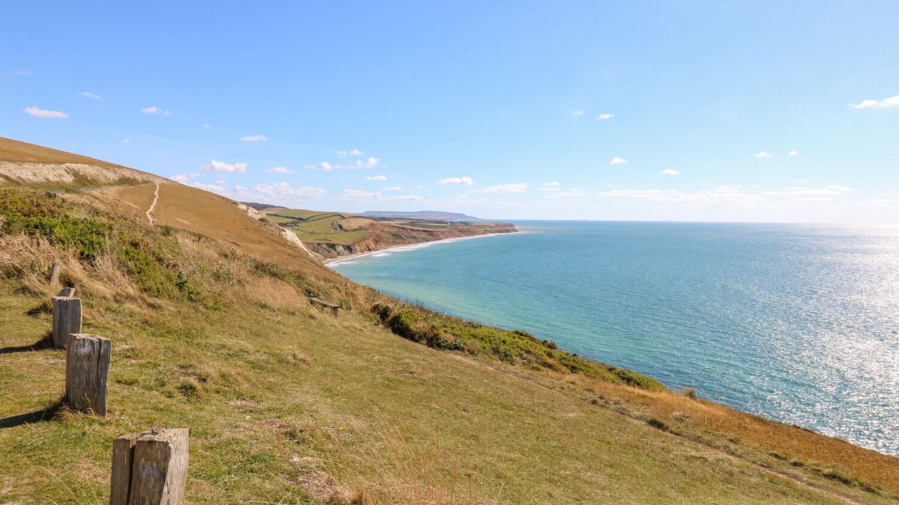 Photo of Others in Freshwater