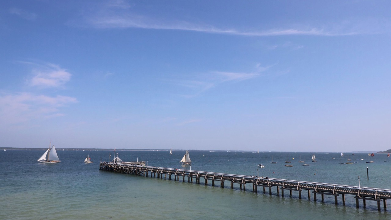 Photo of Others in Freshwater