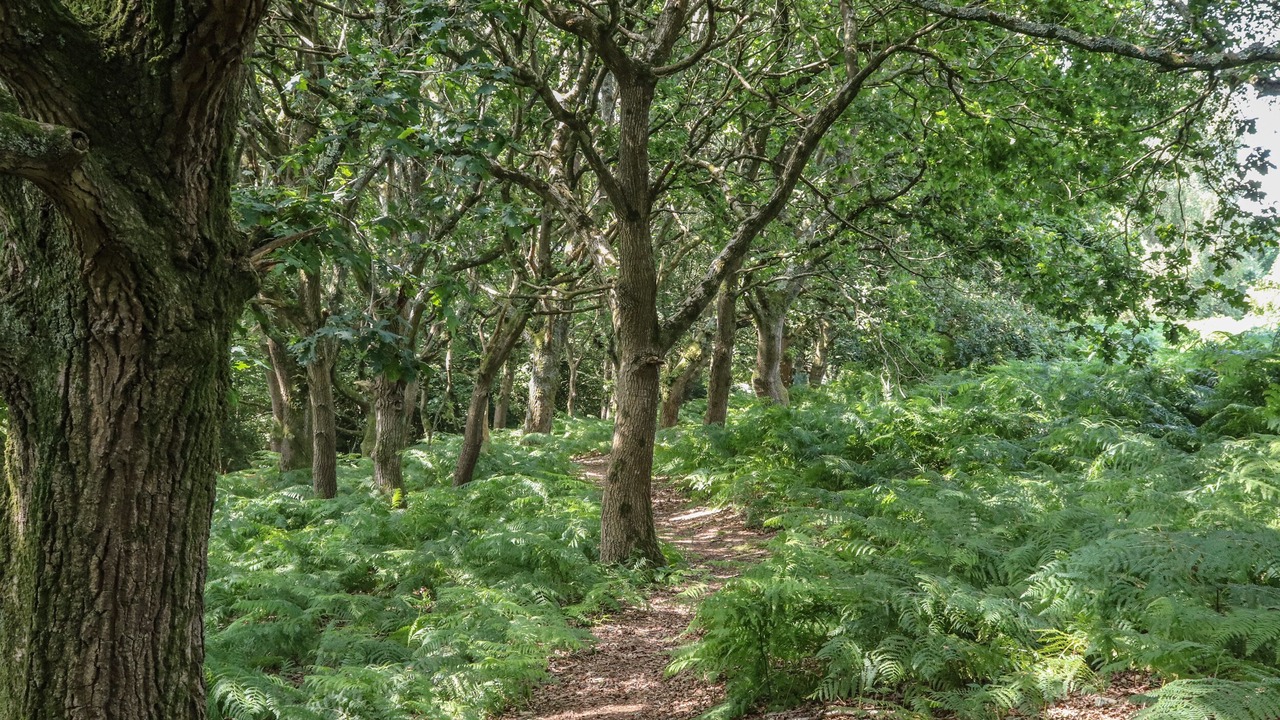 Photo of Others in Wimborne