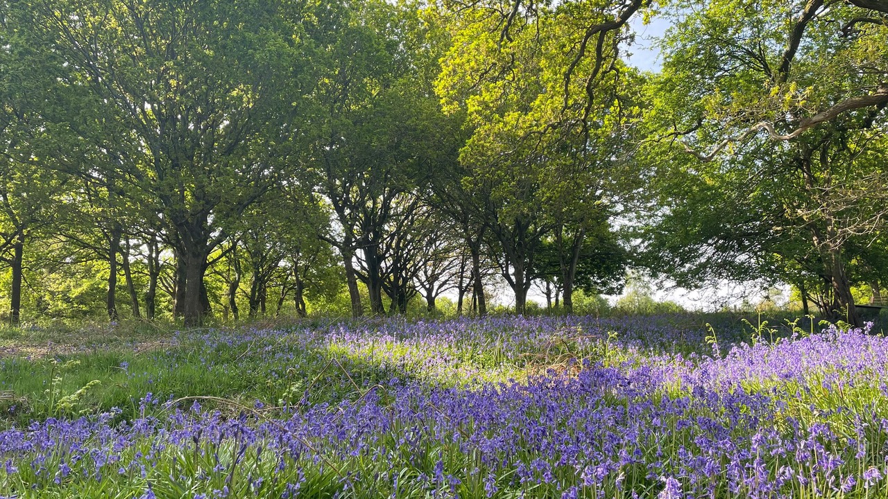 Photo of Others in Wimborne