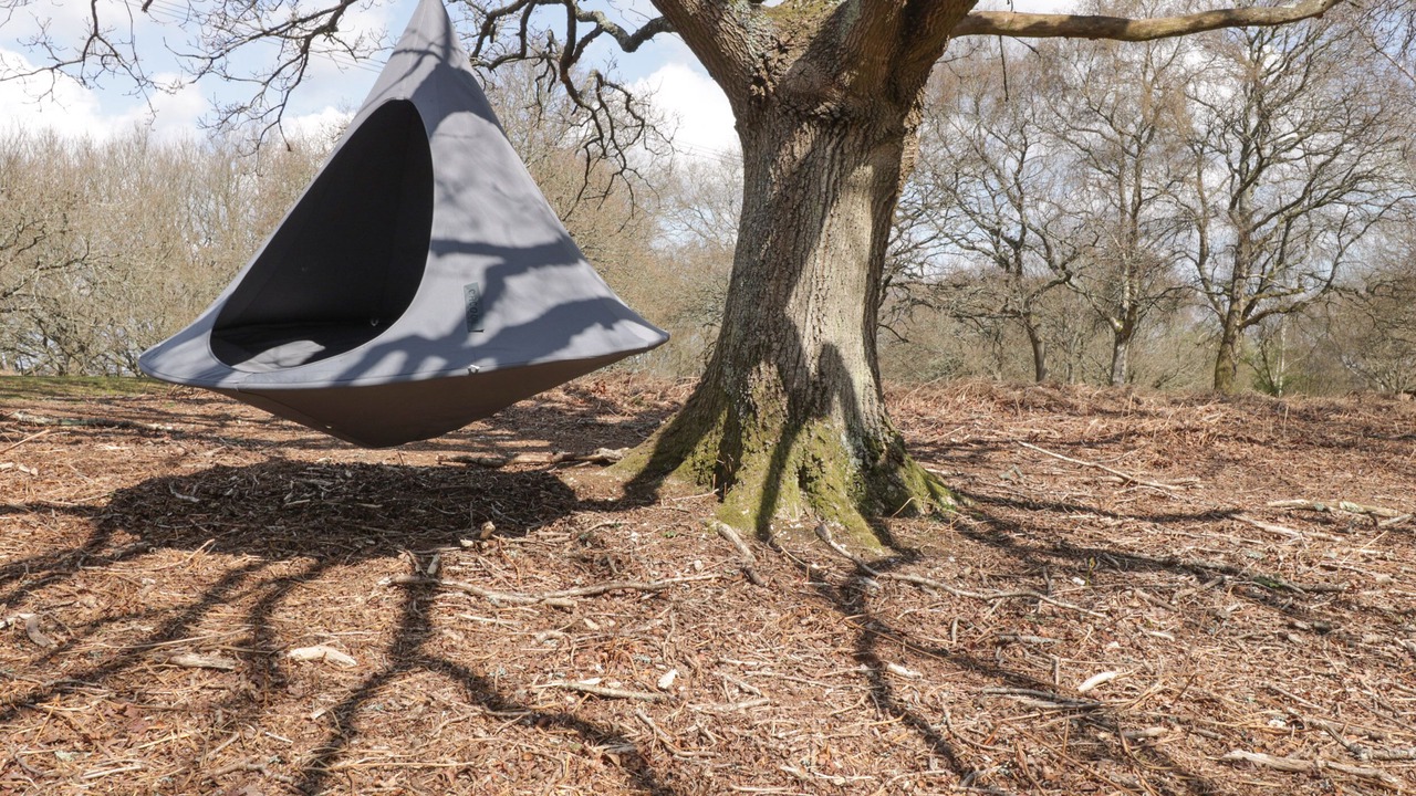 Photo of Others in Wimborne