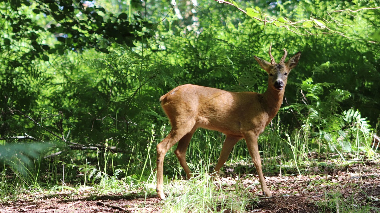 Photo of Others in Wimborne