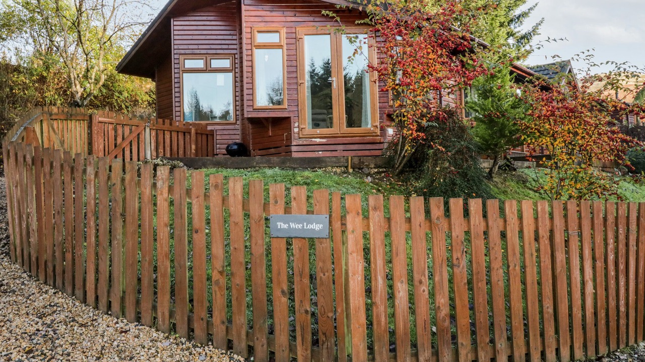 Photo of Others in Dollar