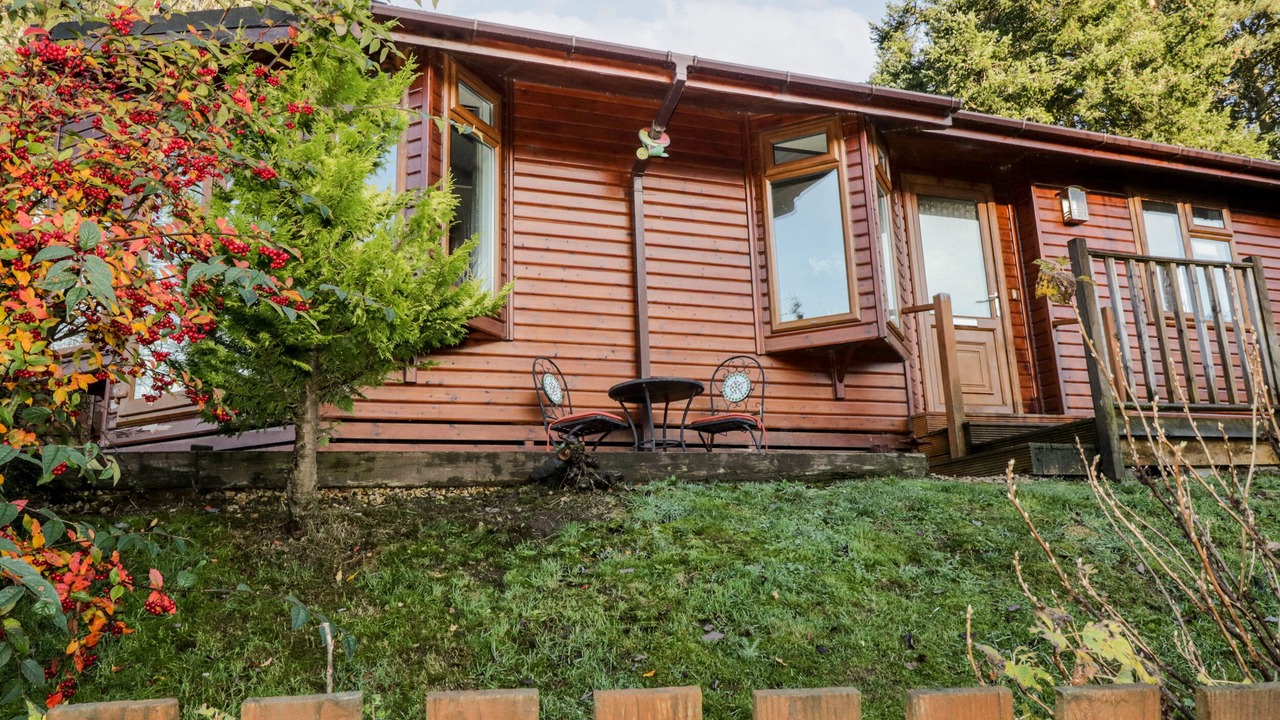 Photo of Others in Dollar