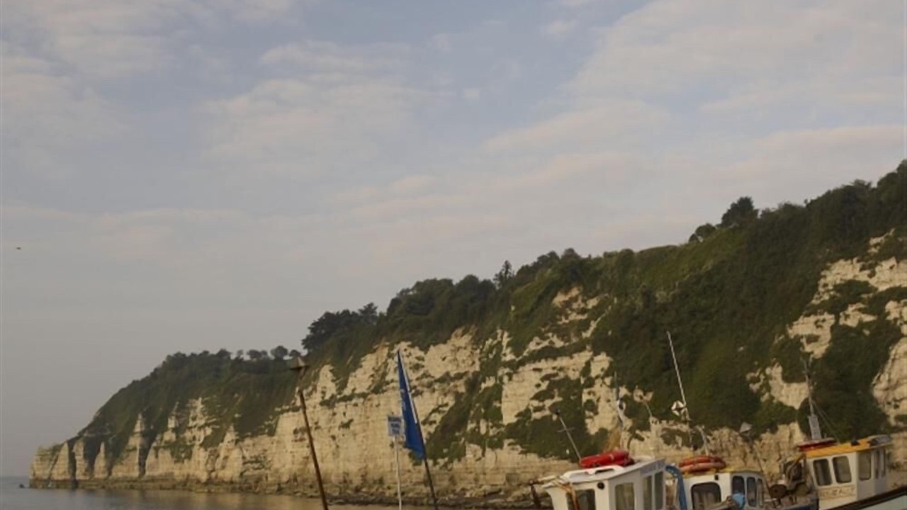 Photo of Others in Lyme Regis