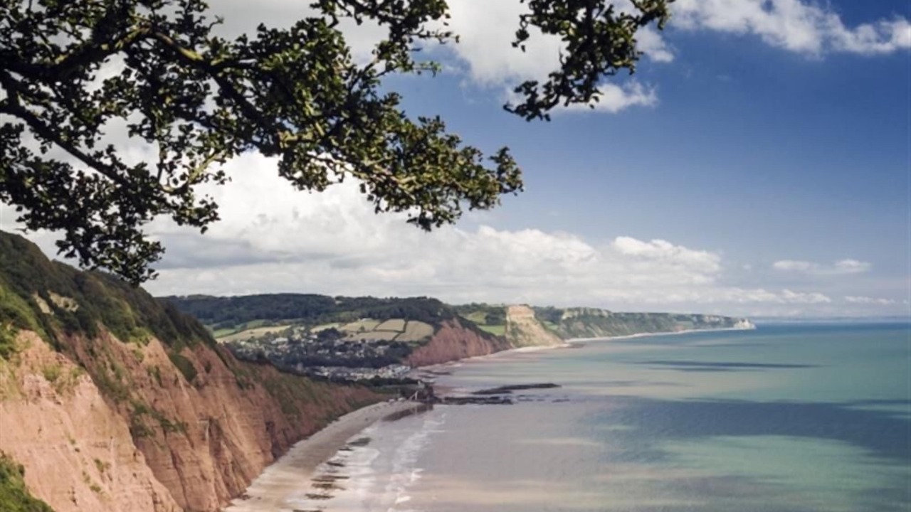 Photo of Others in Lyme Regis