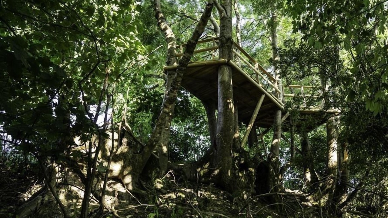 Photo of Others in Lyme Regis