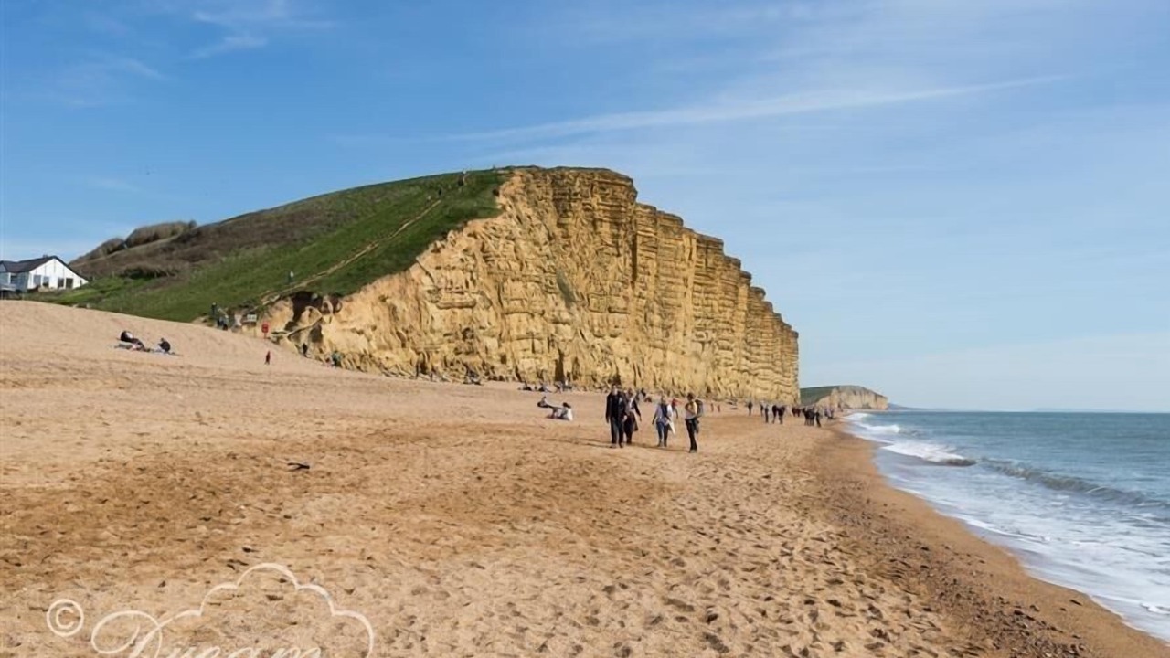 Photo of Others in Bridport