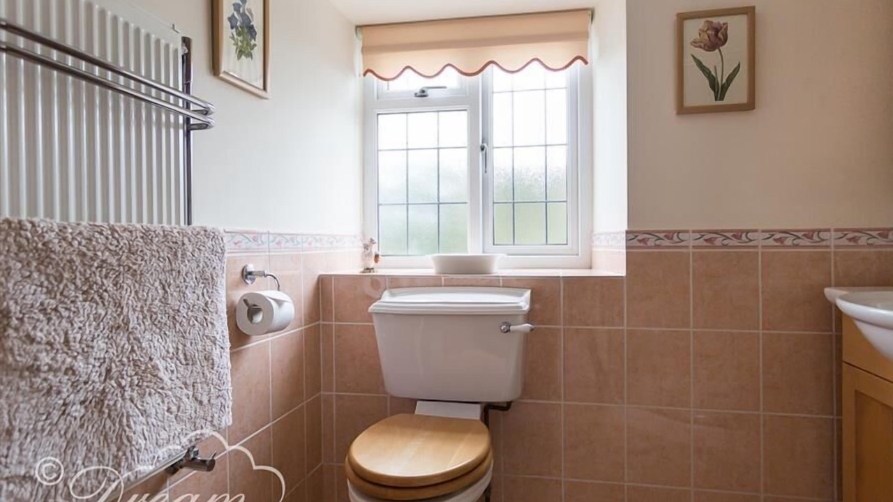 Photo of Others in Bridport