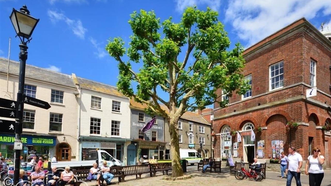 Photo of Others in Bridport