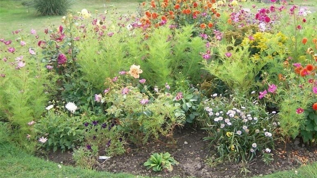 Photo of Others in Bridport