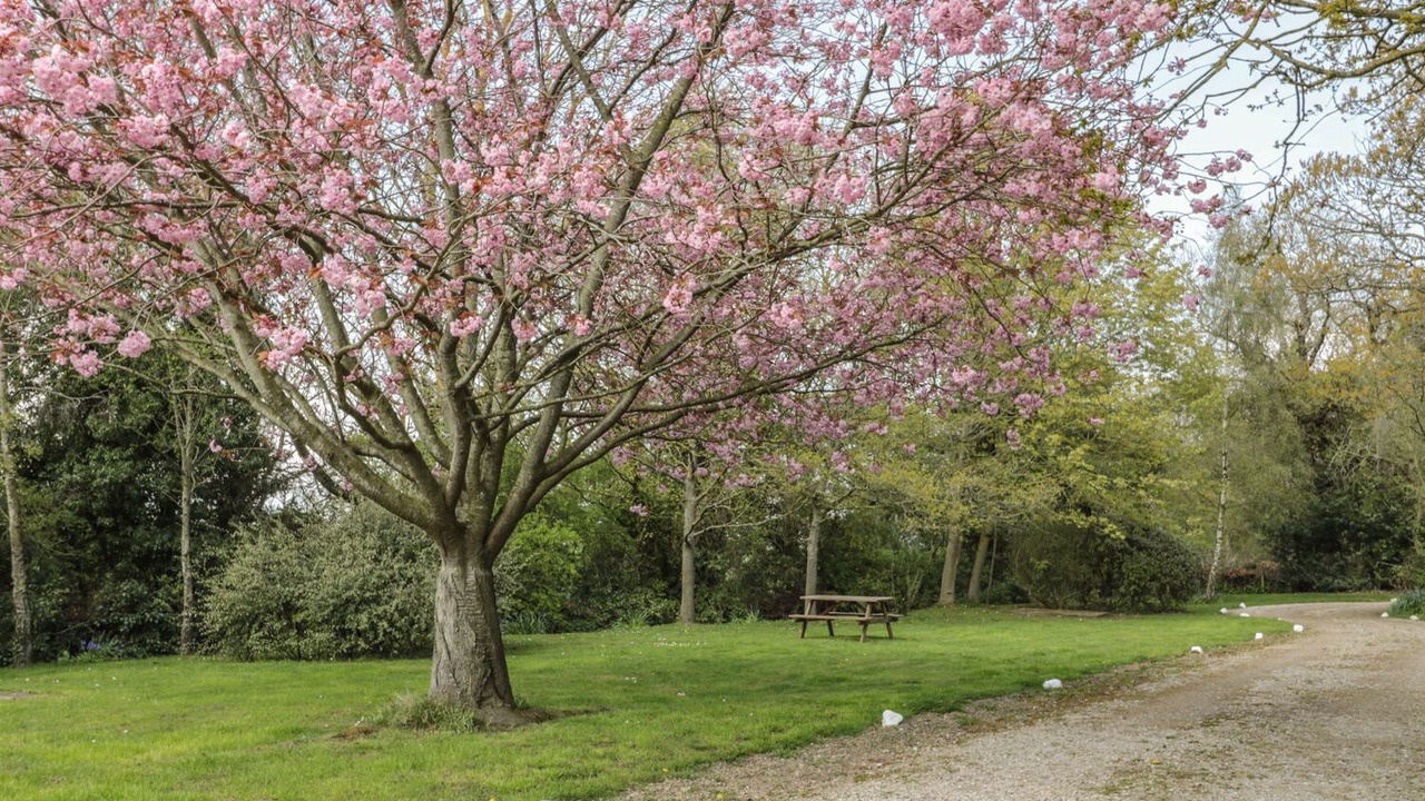 Photo of Others in Morpeth