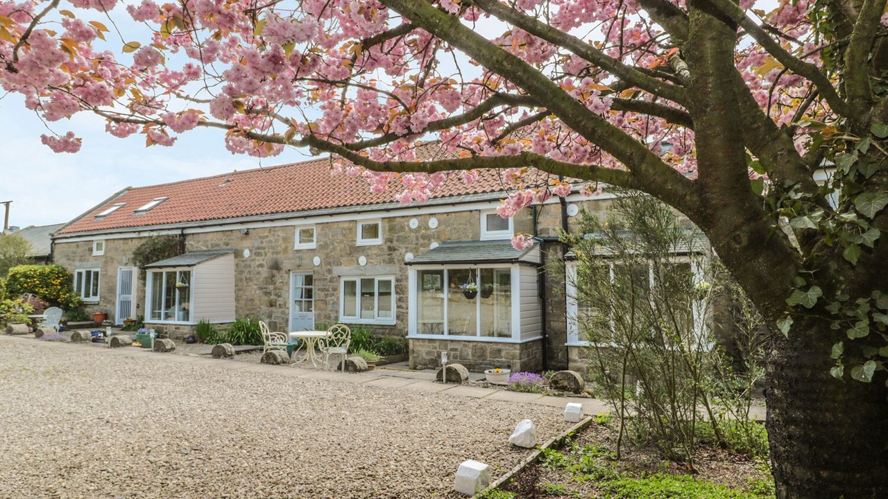 Photo of Others in Morpeth