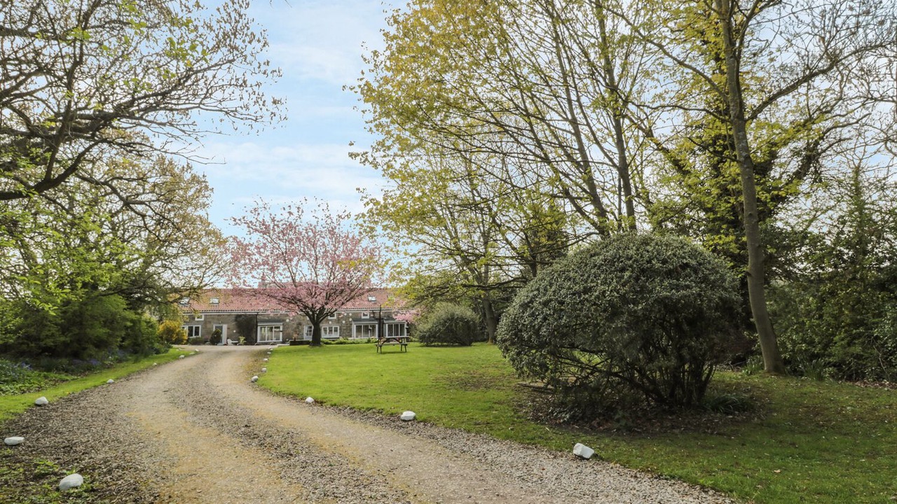 Photo of Others in Morpeth