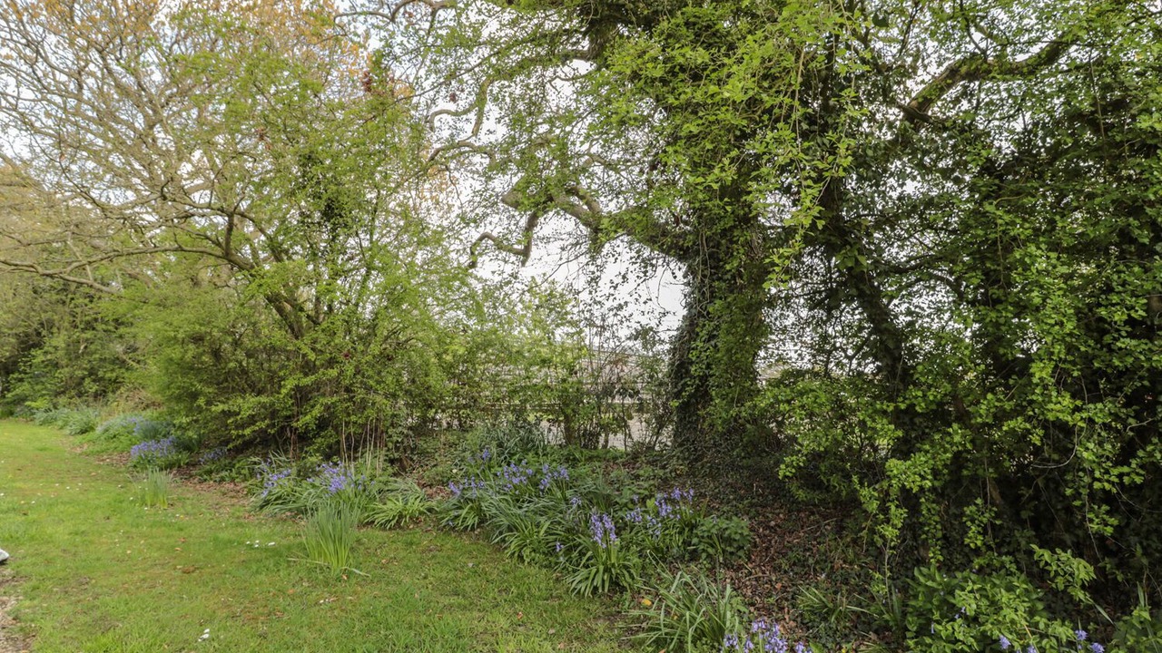 Photo of Others in Morpeth