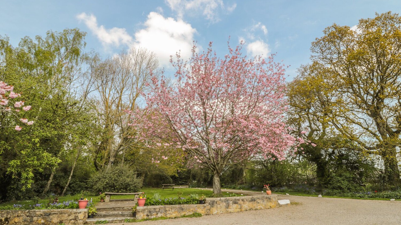 Photo of Others in Morpeth