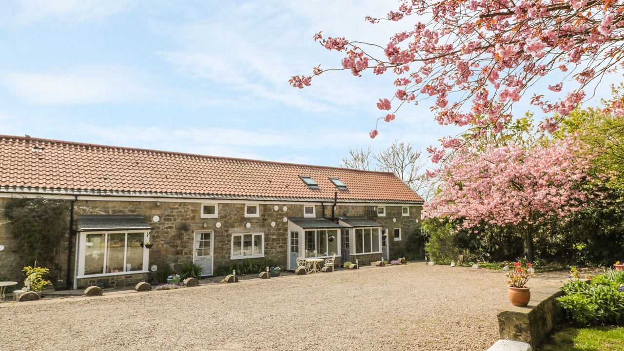 Photo of Outdoor in Morpeth