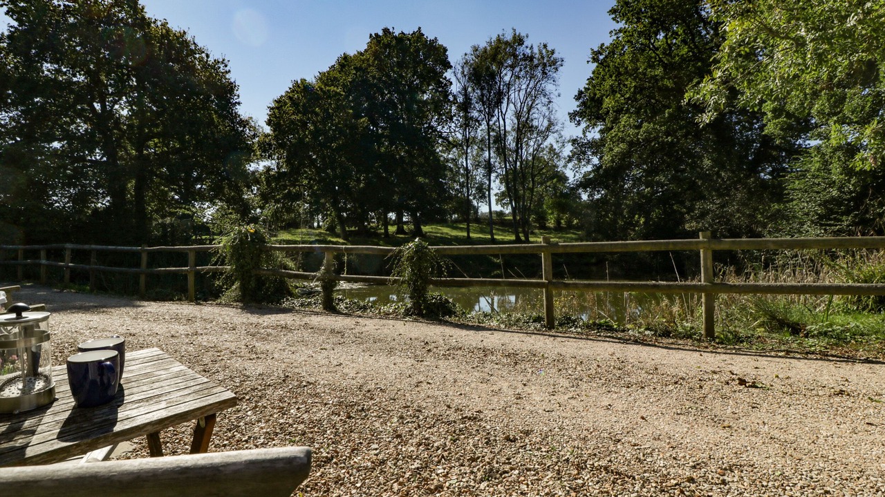 Photo of Others in New Forest District