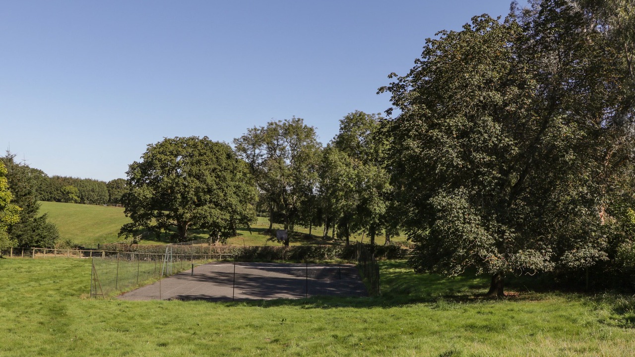 Photo of Others in New Forest District