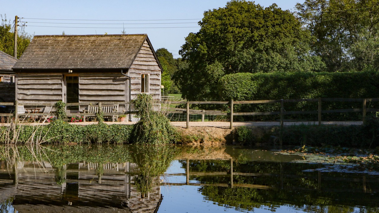 Photo of Others in New Forest District