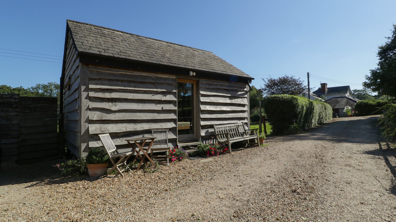 Photo of Others in New Forest District