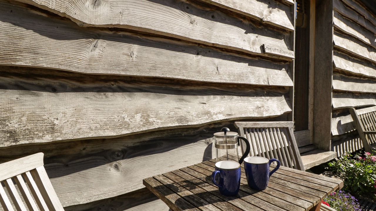 Photo of Others in New Forest District