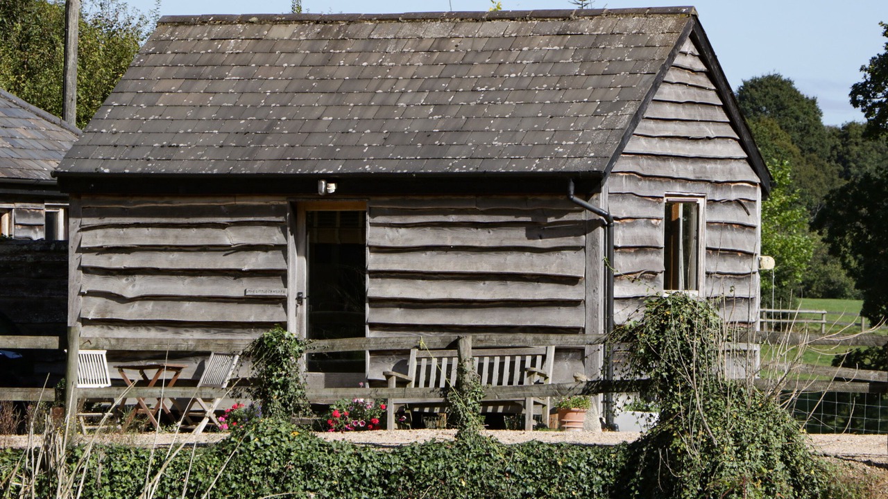 Photo of Others in New Forest District