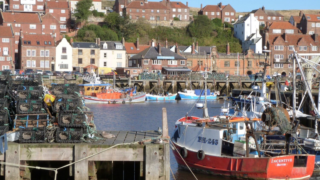 Photo of Others in Whitby