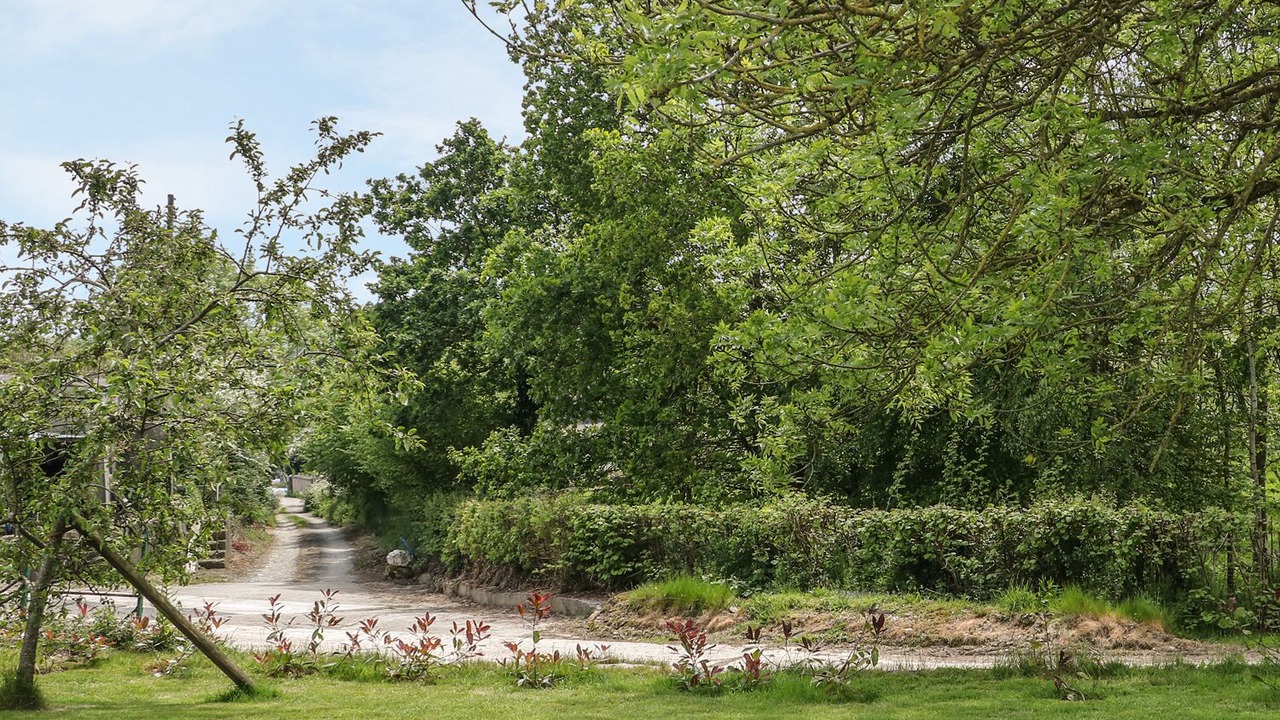 Photo of Others in Morwellham