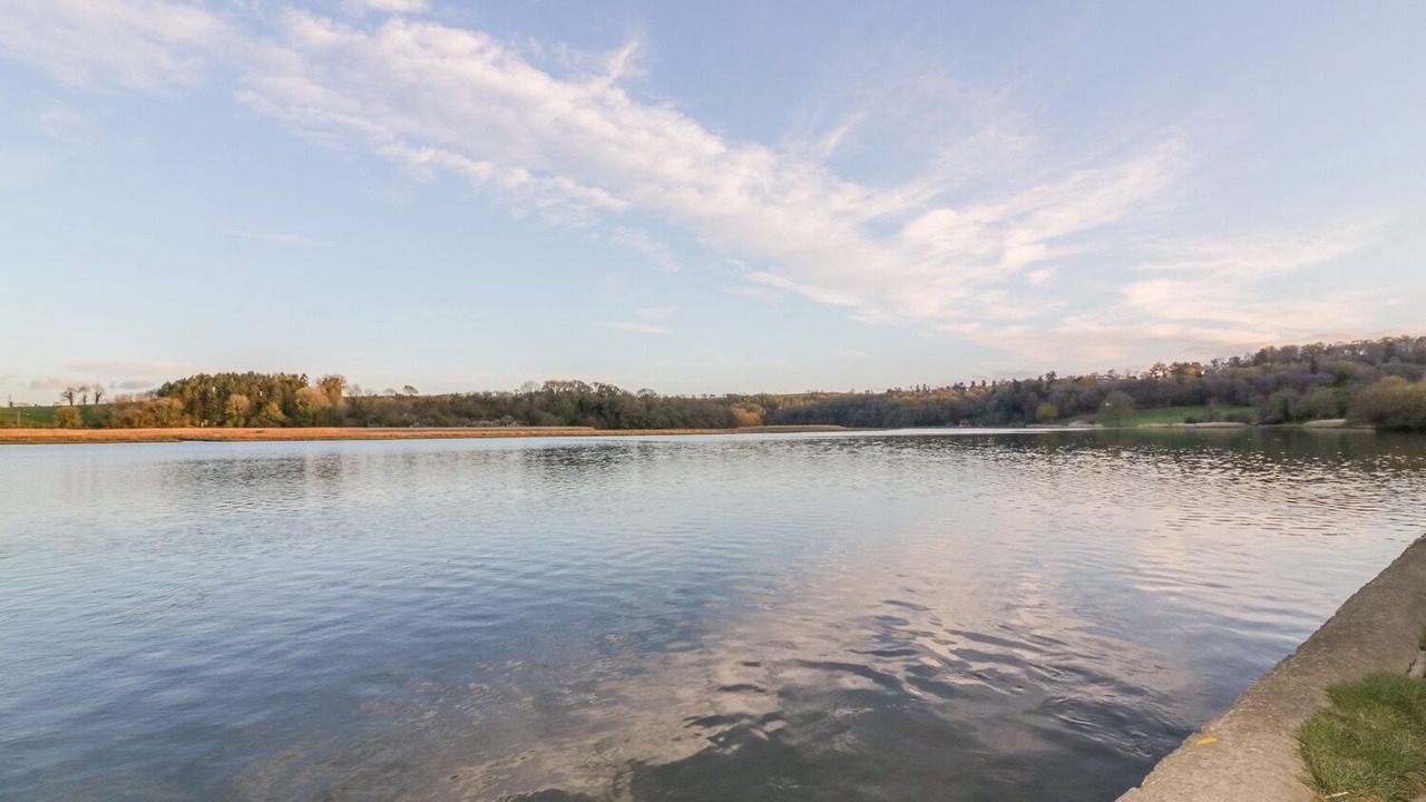 Photo of Others in Morwellham