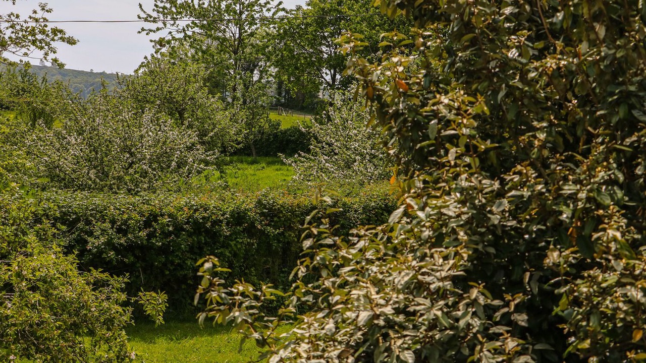 Photo of Others in Morwellham