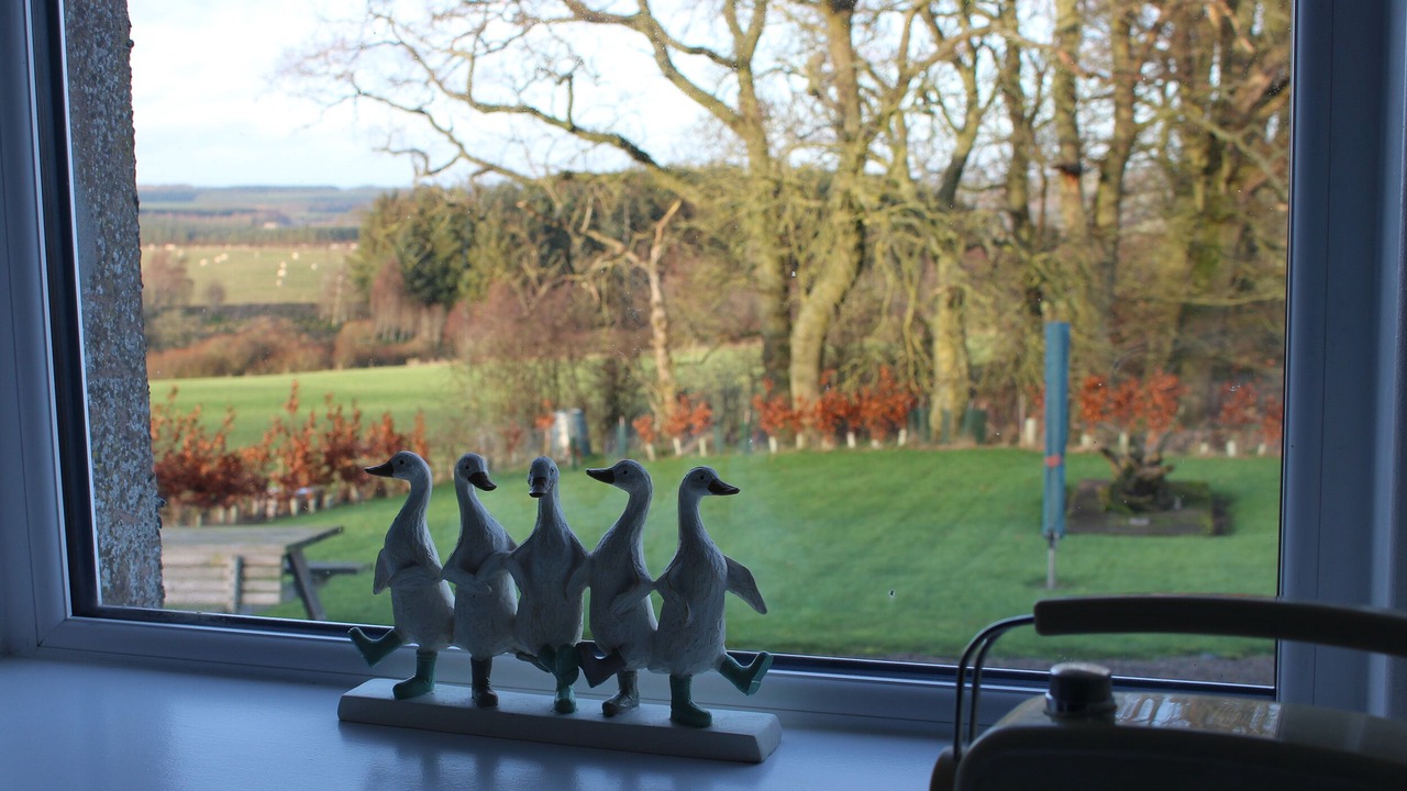 Photo of Others in Jedburgh