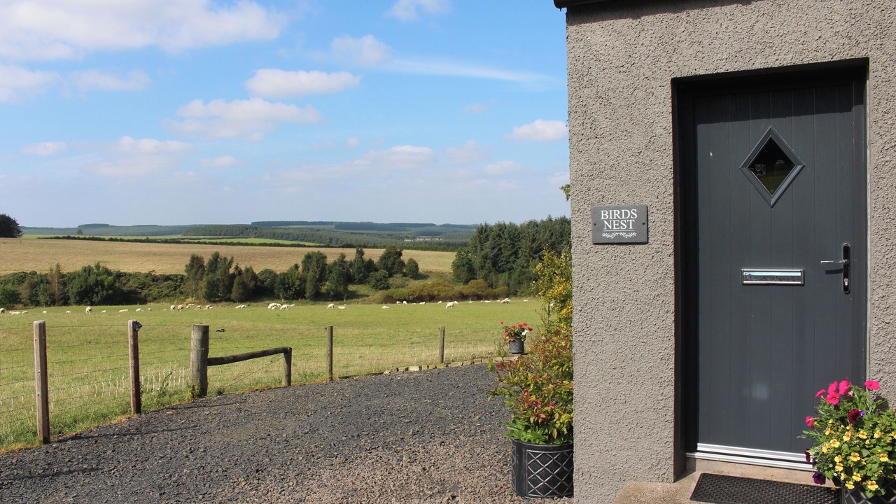 Photo of Others in Jedburgh