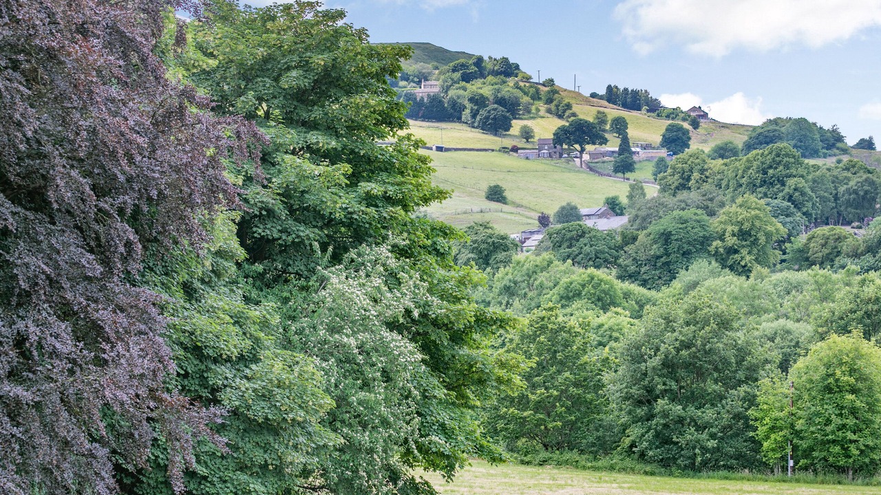 Photo of Others in Rishworth