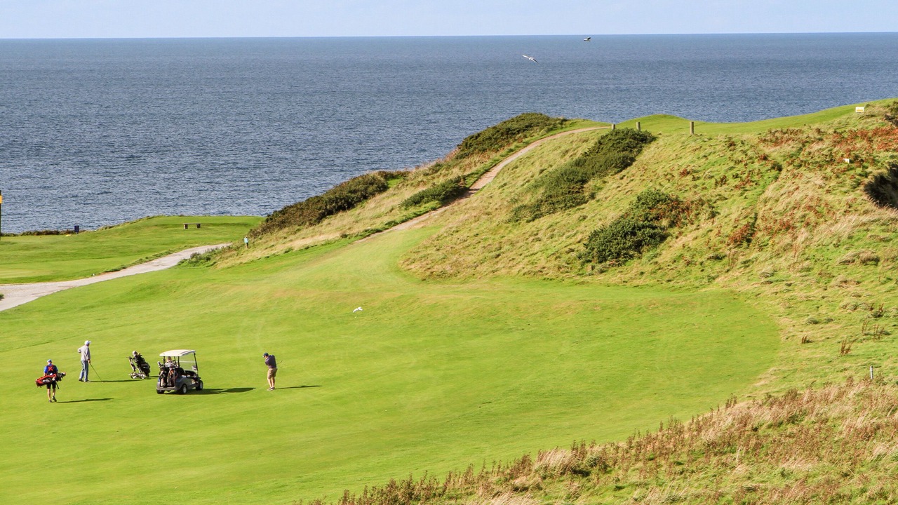 Photo of Others in Nostie