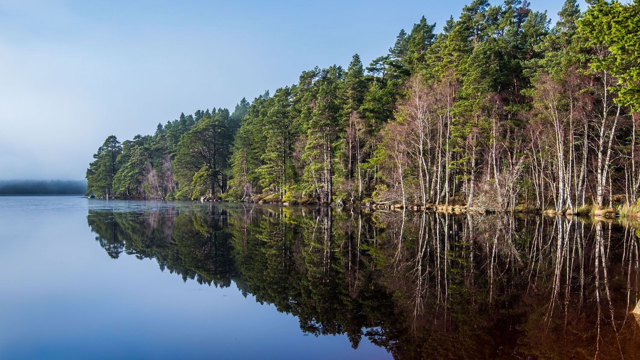 Photo of Others in Nostie